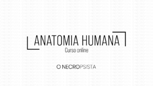curso de anatomia humana