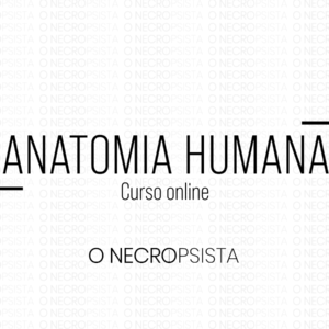 curso de anatomia humana